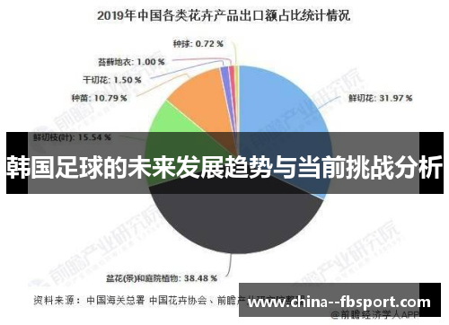 韩国足球的未来发展趋势与当前挑战分析